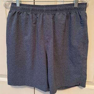 Chubbies Athletic Shorts